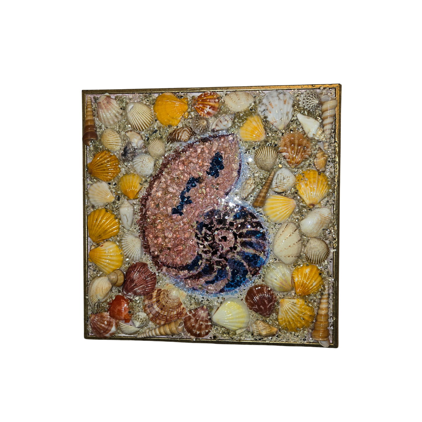 Seashell Wall Art