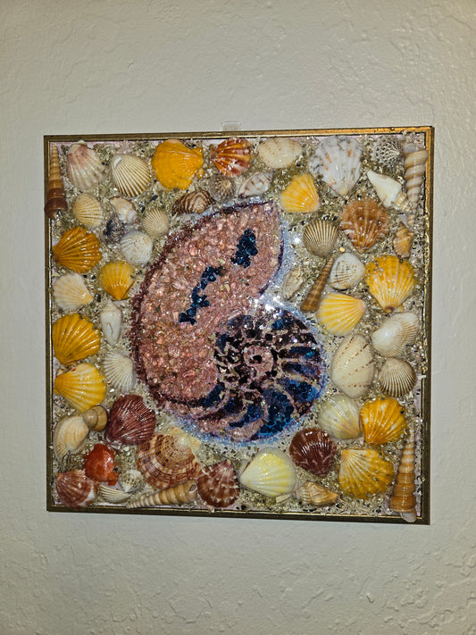 Seashell Wall Art